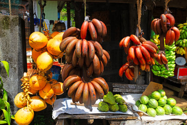 weight loss foods in market at chennai